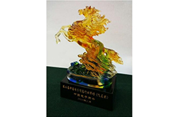 中国电子商务飞马奖